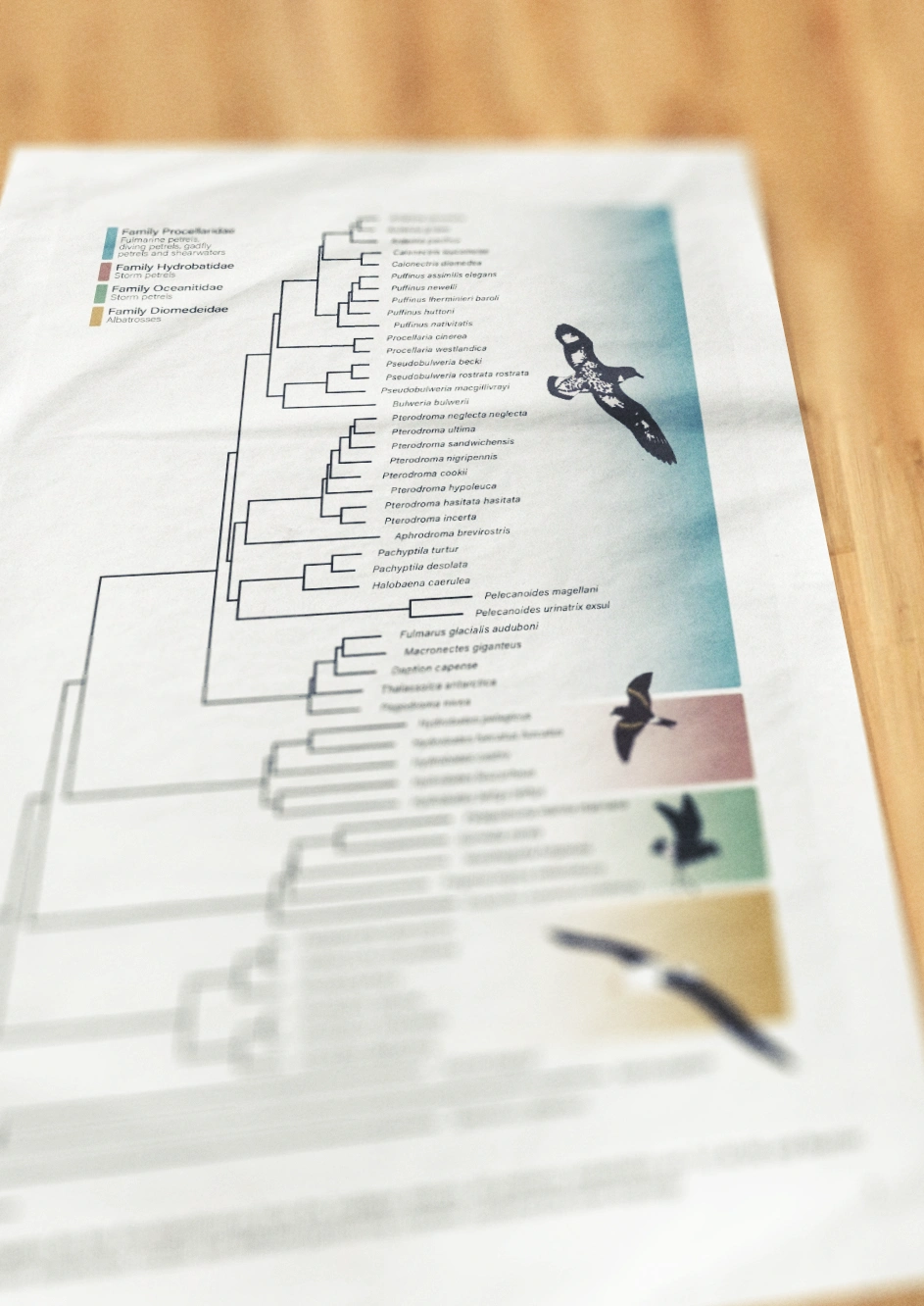 Genome-Wide Evolutionary Reconstruction